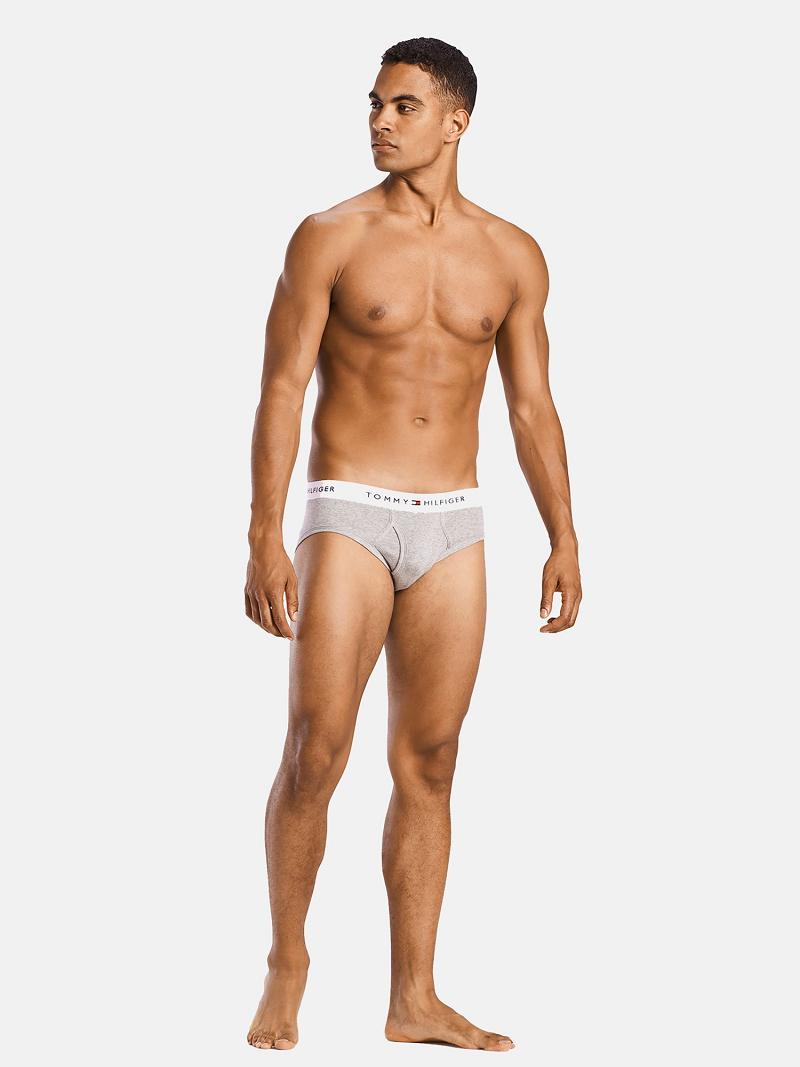 Briefs Tommy Hilfiger Coton classics brief 4pk Homme Grise Bleu Marine | FR_M31538