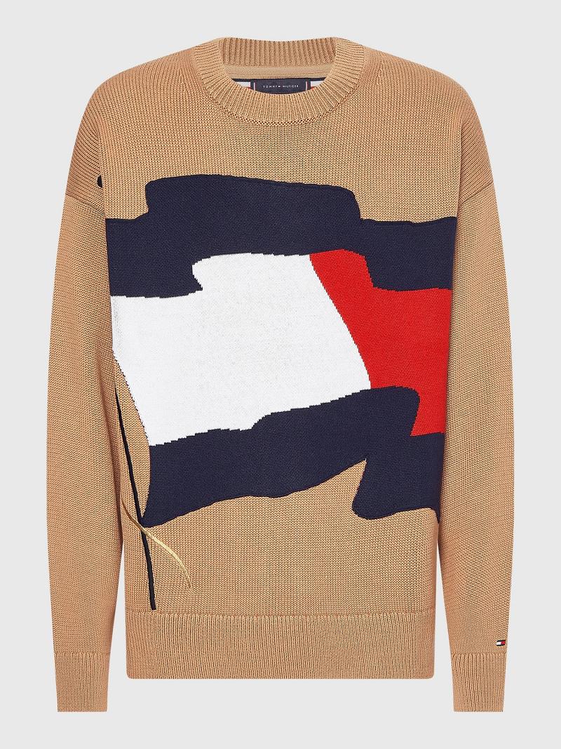 Chandails Tommy Hilfiger Wavy flag crewneck Homme Marron | FR_M31178