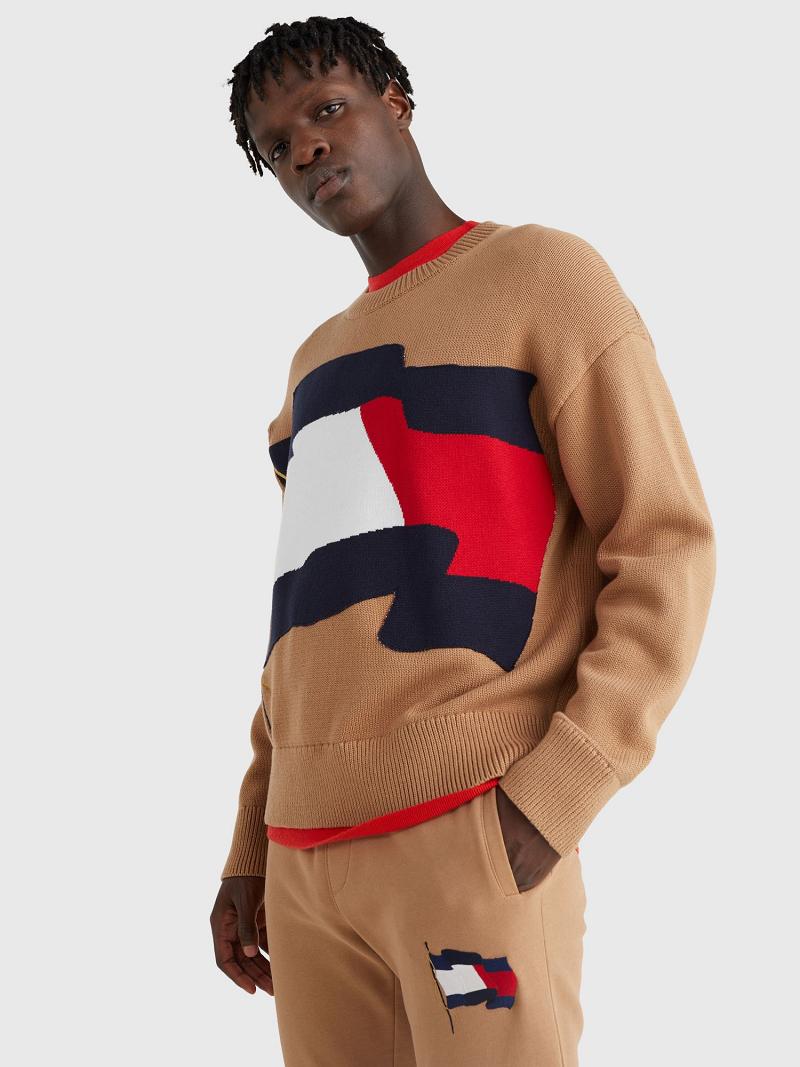 Chandails Tommy Hilfiger Wavy flag crewneck Homme Marron | FR_M31178