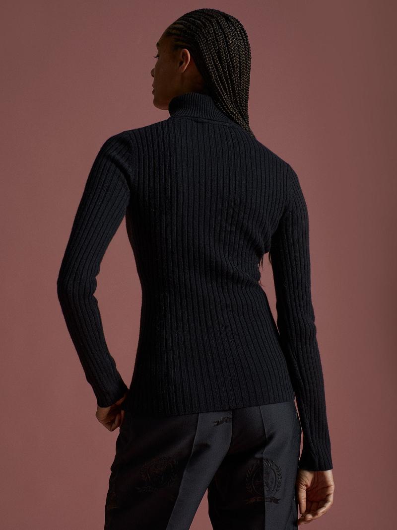 Chandails Tommy Hilfiger Wool Crest Turtleneck Femme Noir | FR_W21373