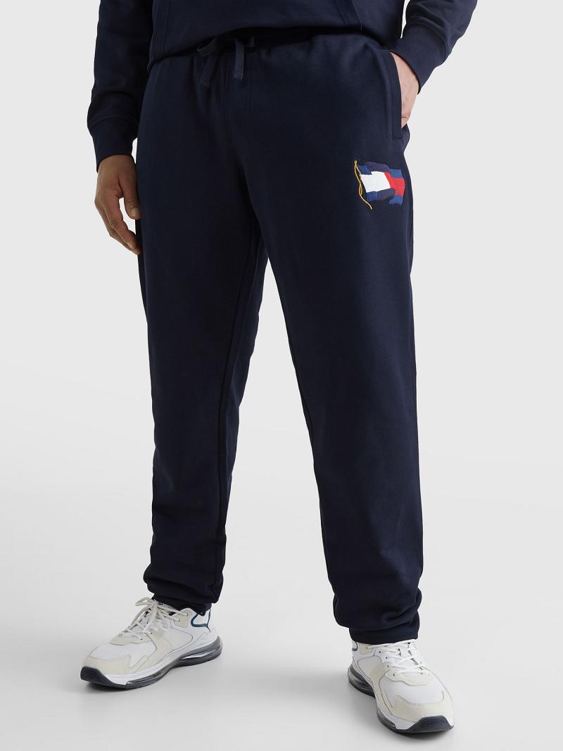 Jogging Tommy Hilfiger Big and tall wavy flag Homme Bleu Marine | FR_M31141