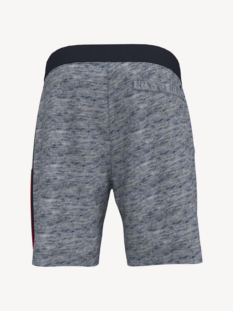 Shorts Tommy Hilfiger Essential hilfiger sweatshort Homme Grise | FR_M31204