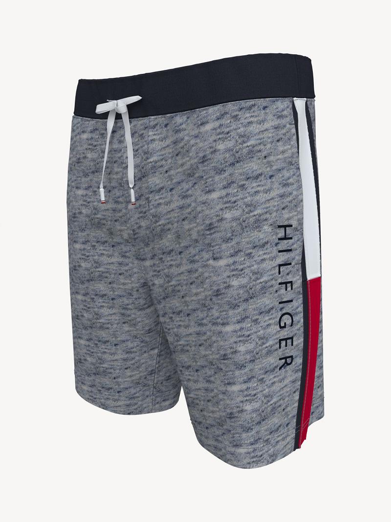 Shorts Tommy Hilfiger Essential hilfiger sweatshort Homme Grise | FR_M31204