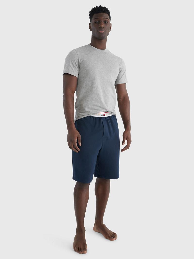 Shorts Tommy Hilfiger Modern essentials Homme Bleu Marine | FR_M31216