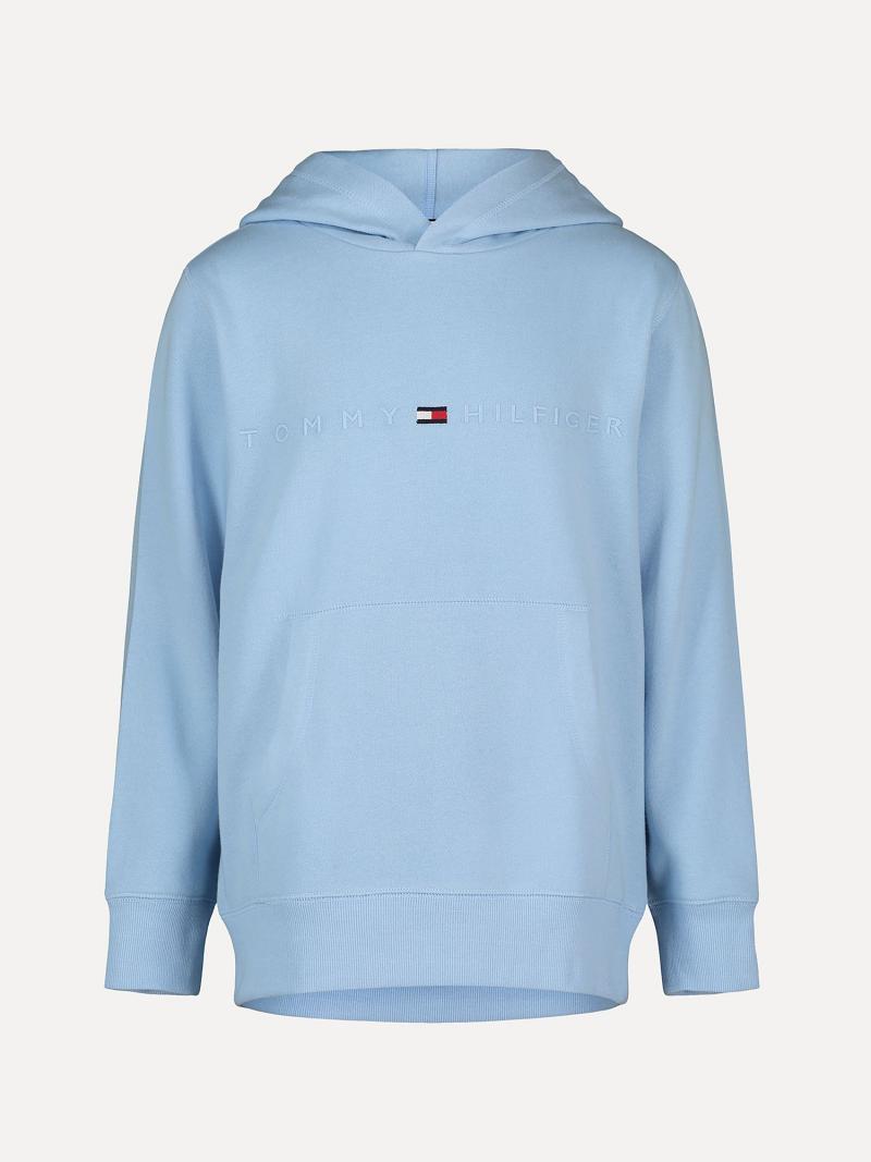 Sweat À Capuche Tommy Hilfiger Big Tonal Logo Enfant Bleu | FR_B2019