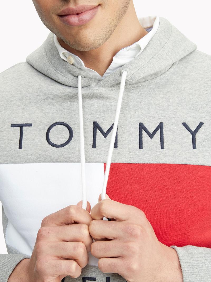 Sweat À Capuche Tommy Hilfiger Essential Logo Homme Grise | FR_M31439