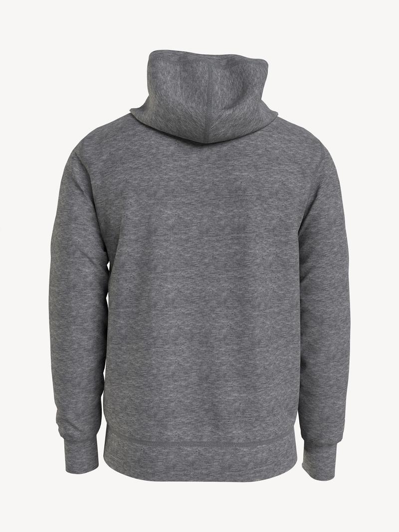 Sweat À Capuche Tommy Hilfiger Essential solid popover Homme Grise | FR_M31442