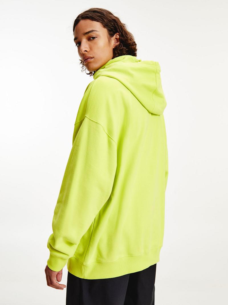 Sweat À Capuche Tommy Hilfiger Modern reflective flag Homme Vert | FR_M31449