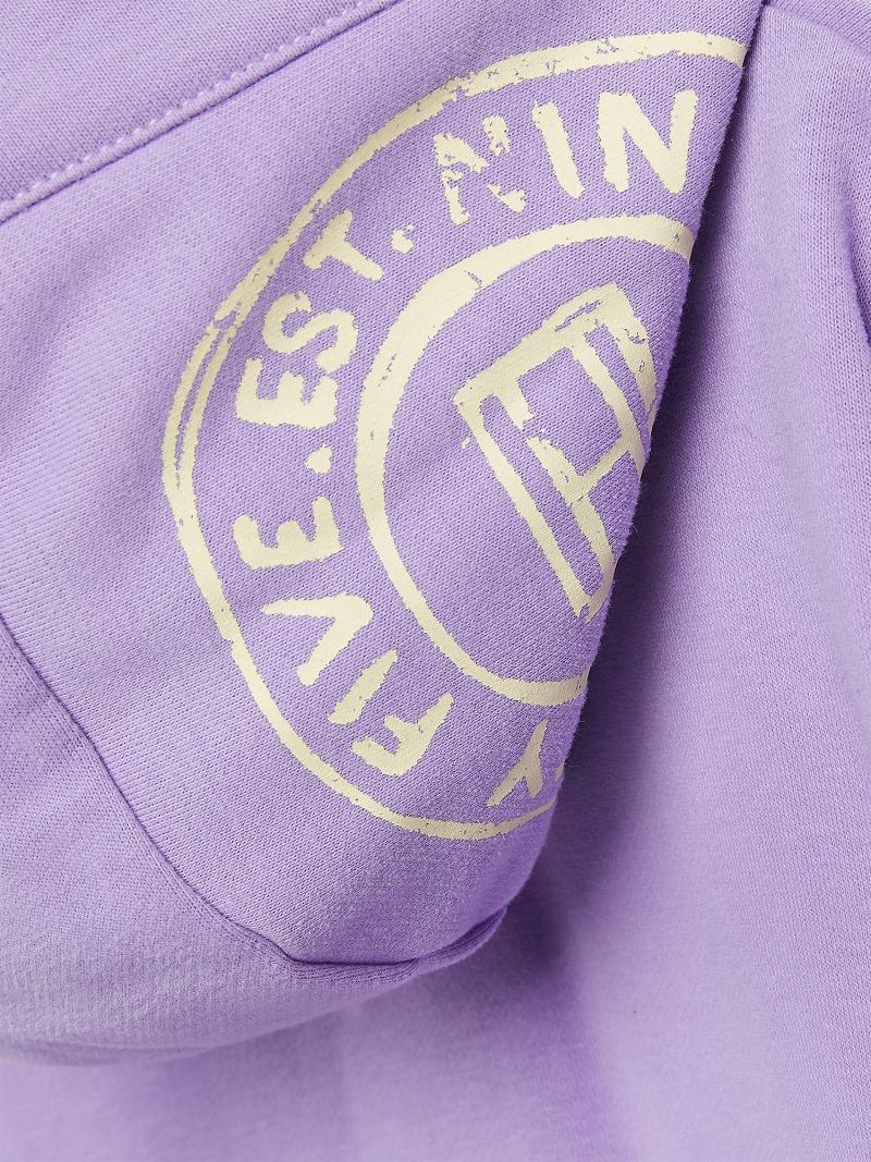 Sweat À Capuche Tommy Hilfiger Organic Coton Pastel Print Enfant Violette | FR_G1100