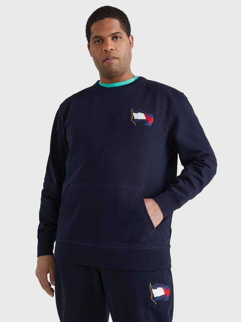 Sweats Tommy Hilfiger Big and tall wavy flag Homme Bleu Marine | FR_M31115