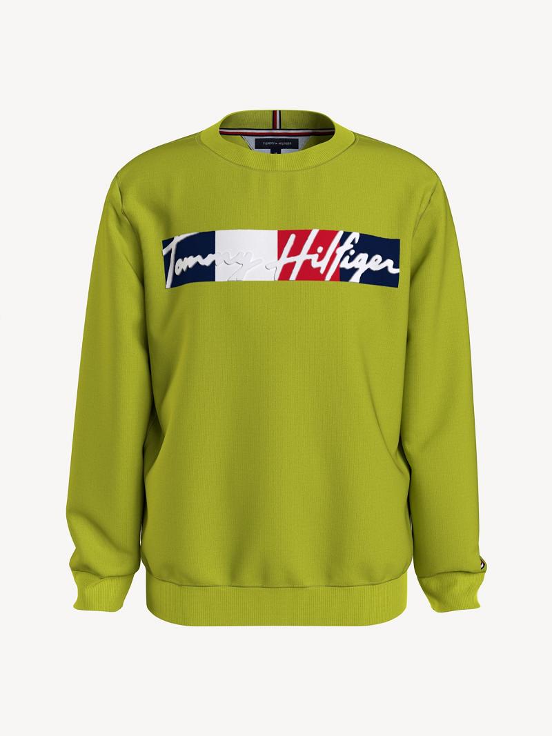 Sweats Tommy Hilfiger Signature Enfant Vert | FR_G1211