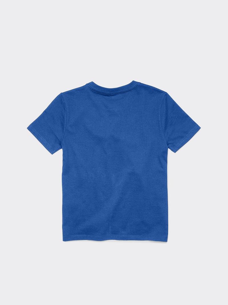 T Shirts Tommy Hilfiger Big Classiche Enfant Bleu | FR_B2157