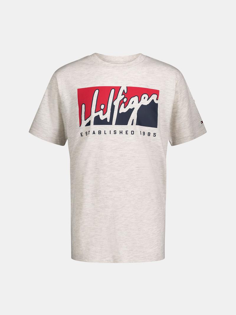 T Shirts Tommy Hilfiger Big Logo Script Enfant Blanche | FR_B2161