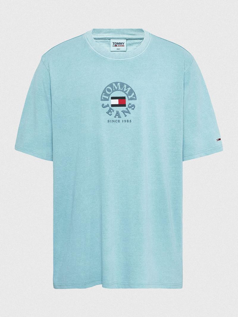 T Shirts Tommy Hilfiger Big and tall circle logo Homme Bleu | FR_M31003