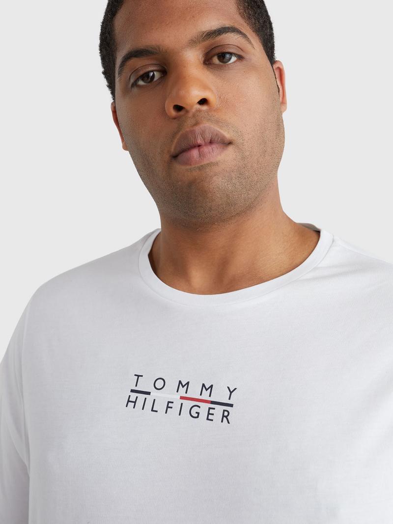 T Shirts Tommy Hilfiger Big and tall logo Homme Blanche | FR_M31004