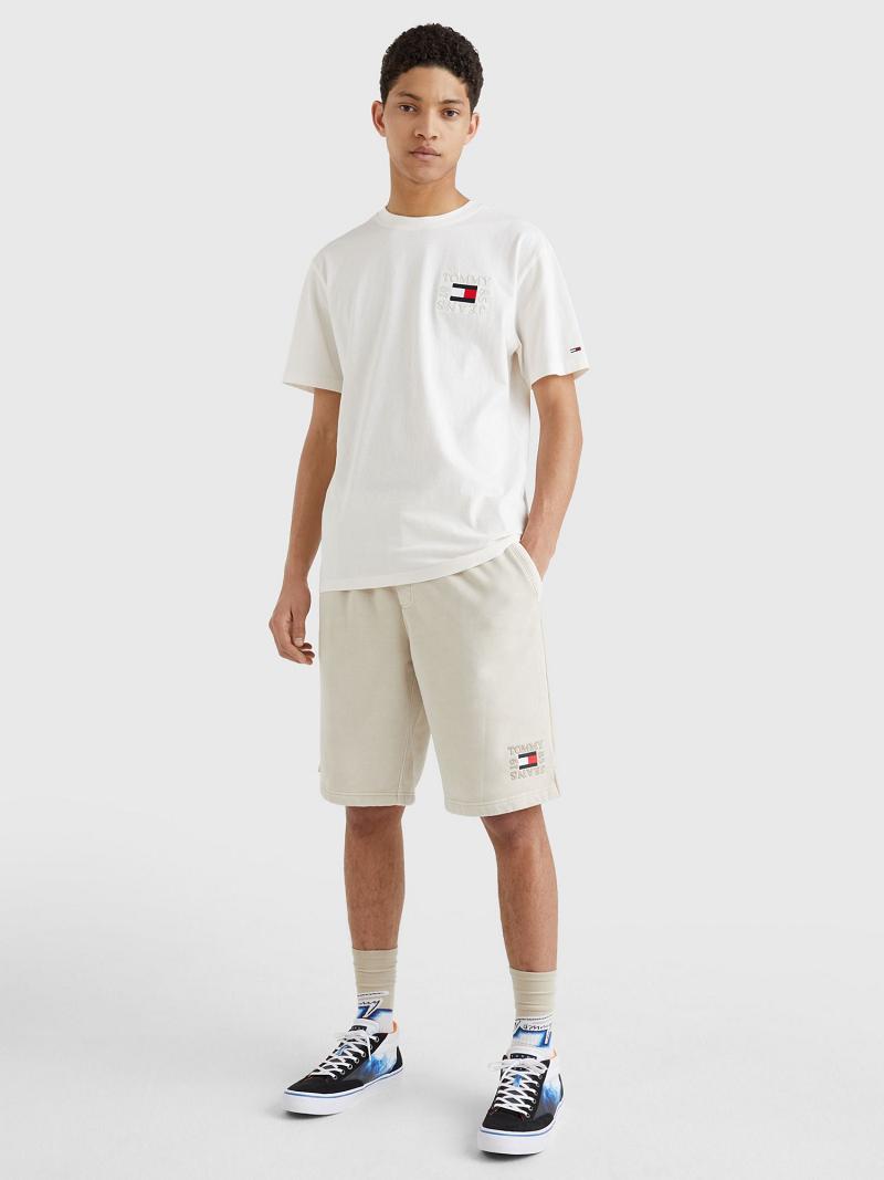 T Shirts Tommy Hilfiger Box logo Homme Blanche | FR_M31009