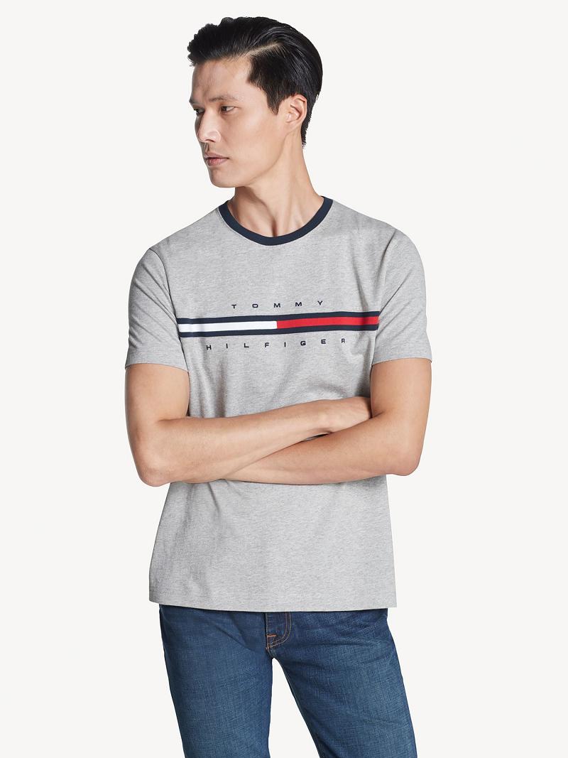 T Shirts Tommy Hilfiger Essential flag logo Homme Grise | FR_M31027