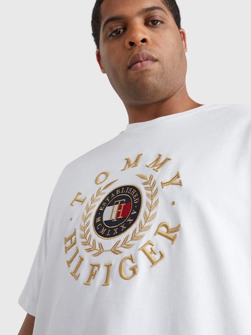 T Shirts Tommy Hilfiger Icon big and tall circle logo Homme Blanche | FR_M31043