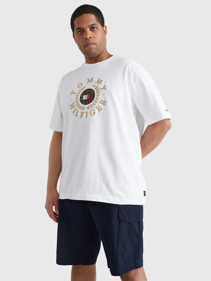 T Shirts Tommy Hilfiger Icon big and tall circle logo Homme Blanche | FR_M31043