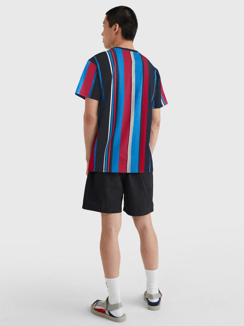 T Shirts Tommy Hilfiger Mixed stripe badge Homme Multicolore | FR_M31055