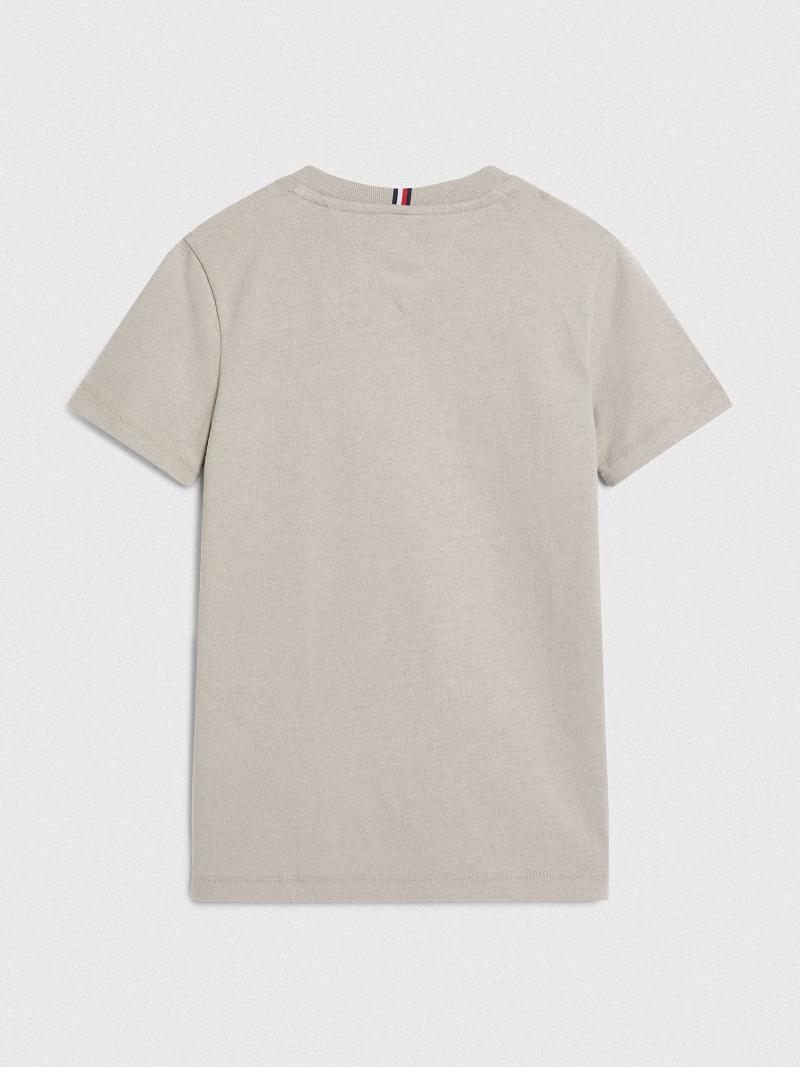 T Shirts Tommy Hilfiger Natural Dye Enfant Grise | FR_B2198