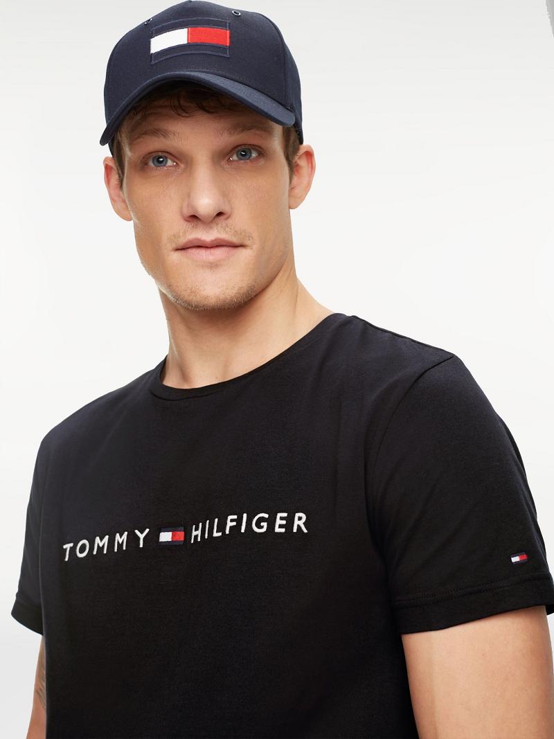 T Shirts Tommy Hilfiger Organic Coton Logo Homme Noir | FR_M31061