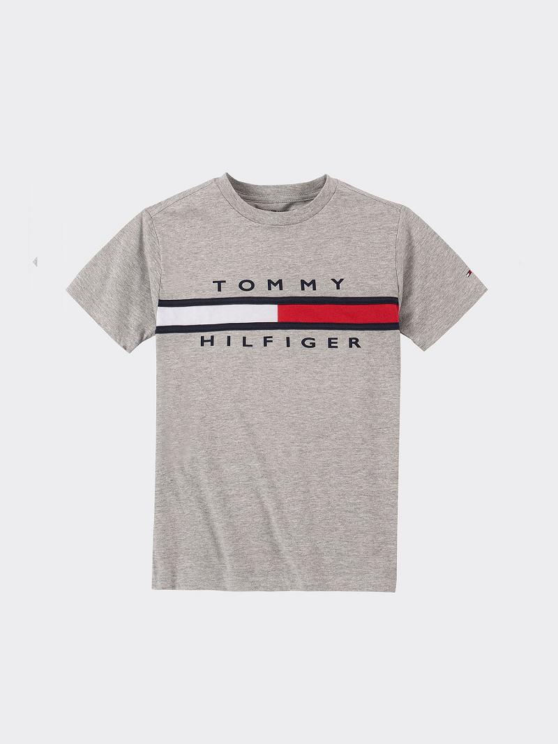 T Shirts Tommy Hilfiger Signature Stripe Enfant Grise | FR_B2203