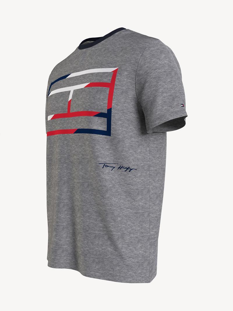 T Shirts Tommy Hilfiger Skeleton flag Homme Grise | FR_M31068