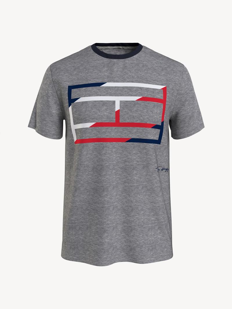 T Shirts Tommy Hilfiger Skeleton flag Homme Grise | FR_M31068