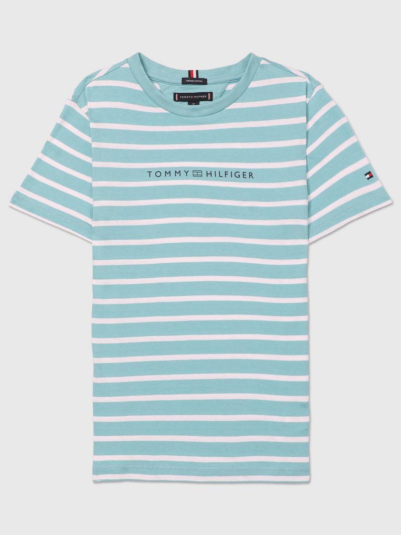 T Shirts Tommy Hilfiger Stripe Enfant Aqua | FR_G1265