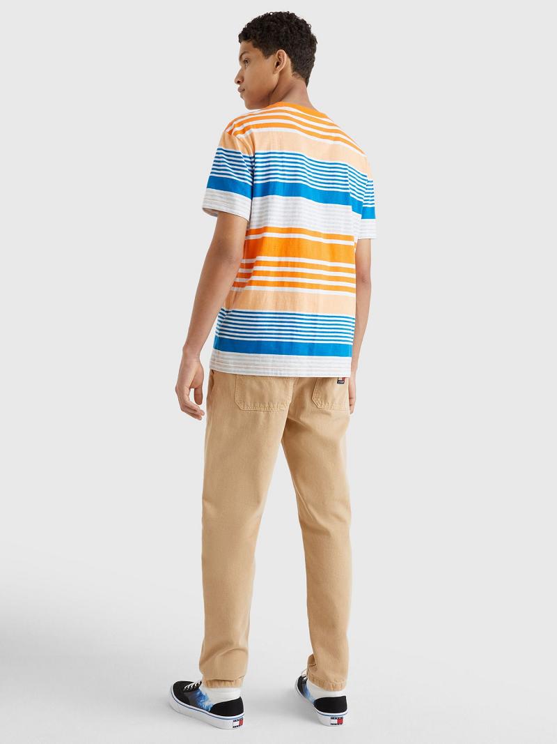 T Shirts Tommy Hilfiger Summer stripe Homme Multicolore | FR_M31073