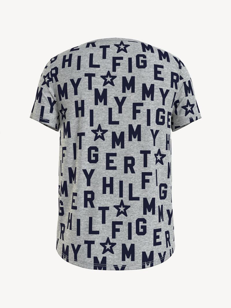 T Shirts Tommy Hilfiger Tommy Enfant Grise | FR_G1269