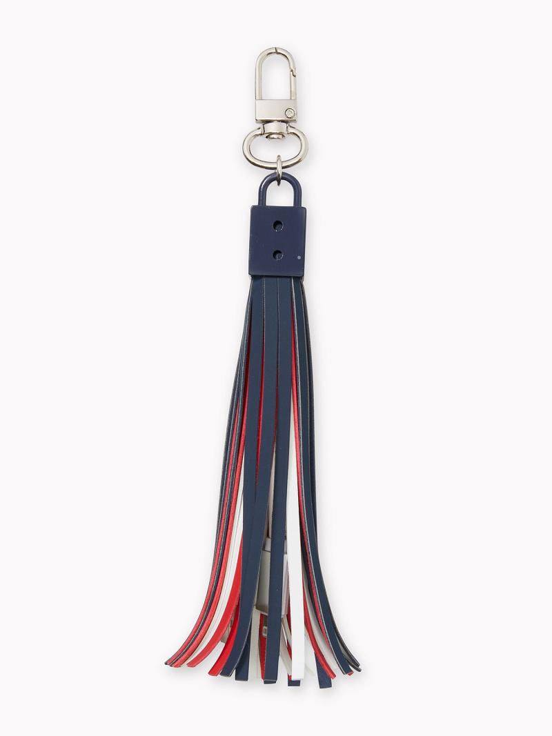 Technology Tommy Hilfiger Signature USB Tassel Femme Multicolore | FR_W21693