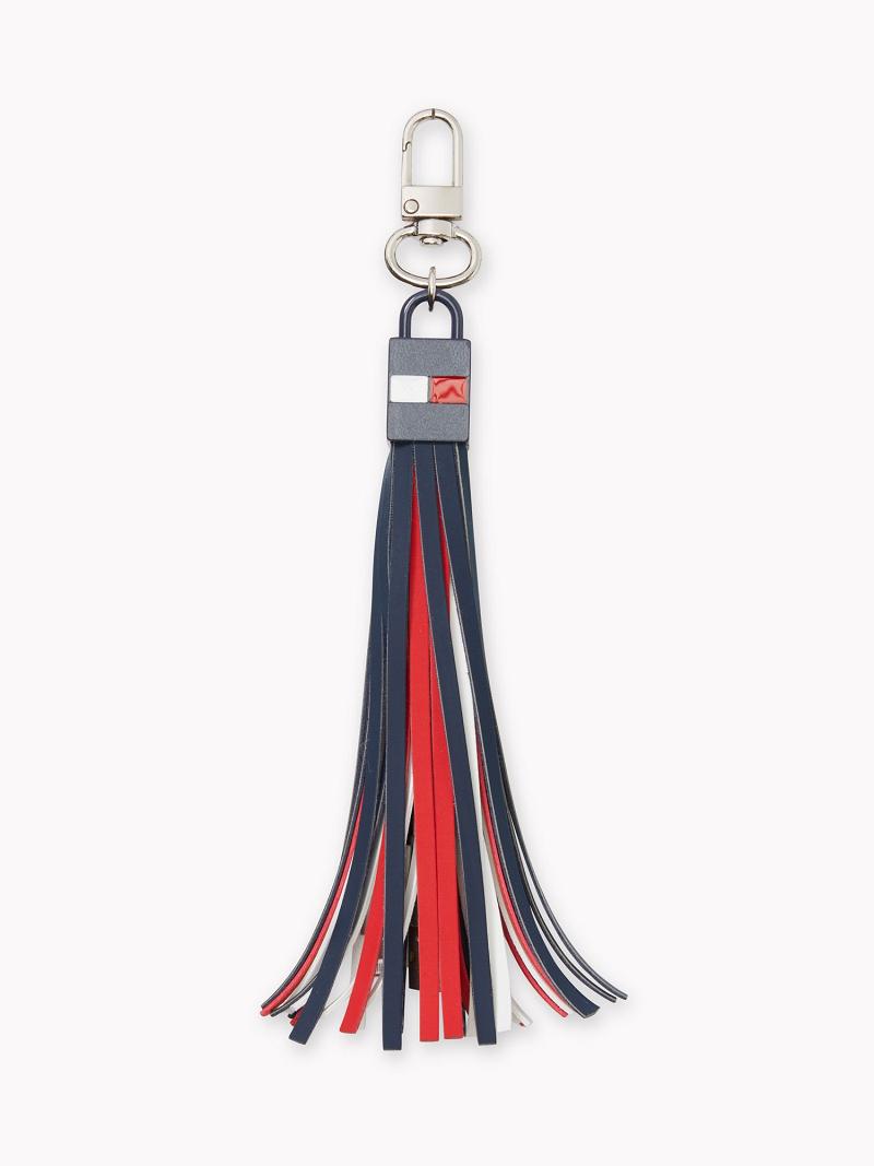 Technology Tommy Hilfiger Signature USB Tassel Femme Multicolore | FR_W21693