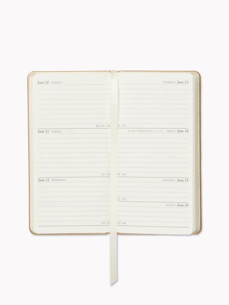 Technology Tommy Hilfiger White Weekly Planner Femme Doré | FR_W21705