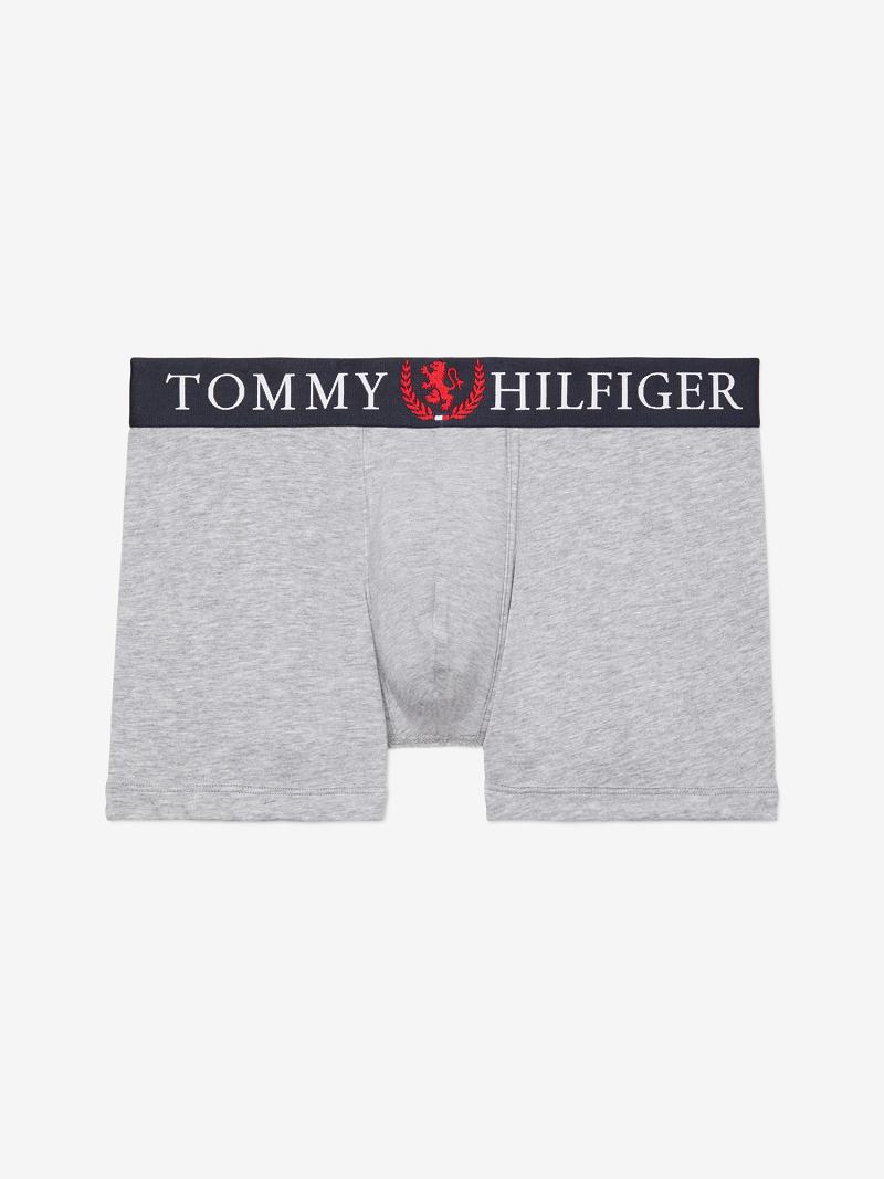 Trunks Tommy Hilfiger Authentic stretch trunk Homme Grise | FR_M31489