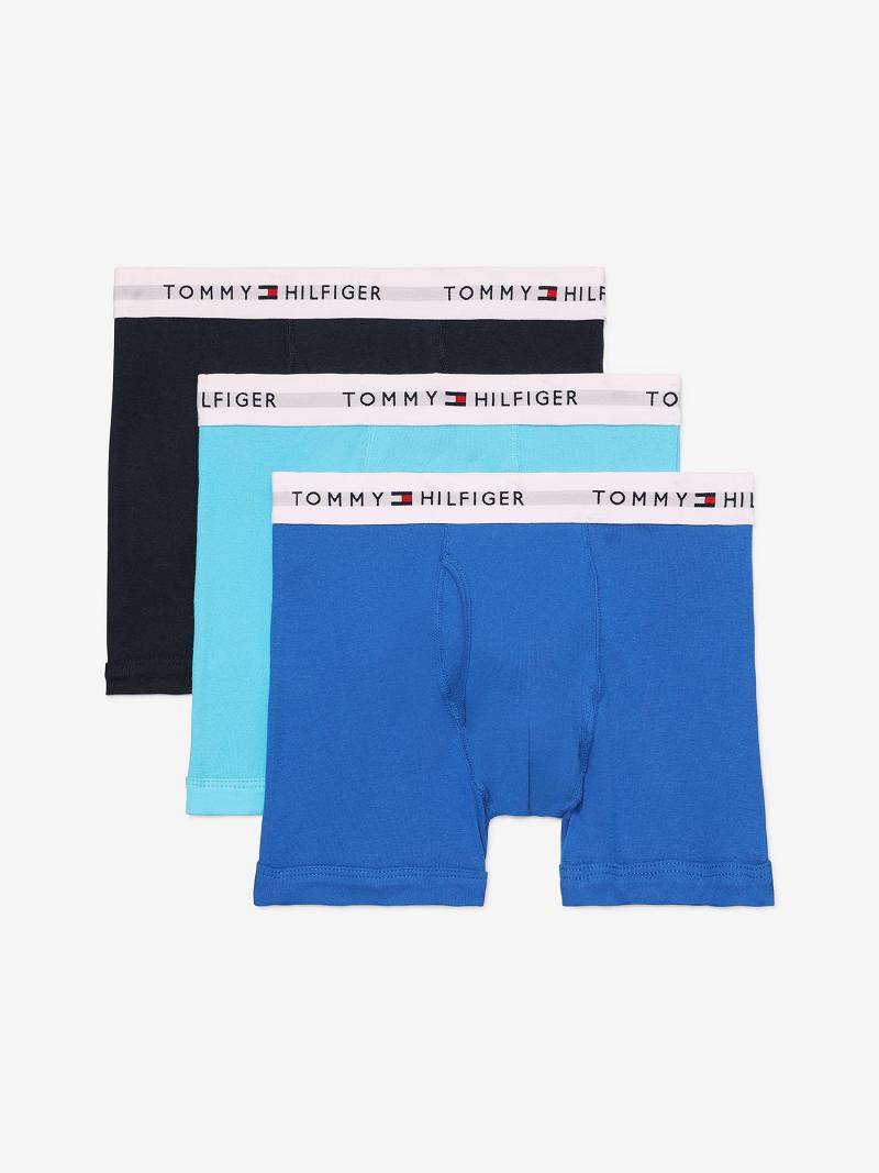 Trunks Tommy Hilfiger Classiche cotton trunk 3pk Homme Bleu Marine Bleu | FR_M31490