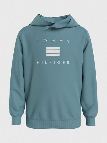 Sweat À Capuche Tommy Hilfiger Hilfiger Enfant Aqua | FR_B2022