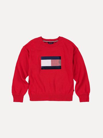 Sweats Tommy Hilfiger Big Flag Enfant Rouge | FR_G1191