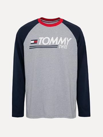 T Shirts Tommy Hilfiger Big Logo Raglan Enfant Grise | FR_B2160