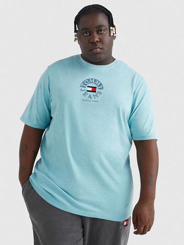 T Shirts Tommy Hilfiger Big and tall circle logo Homme Bleu | FR_M31003