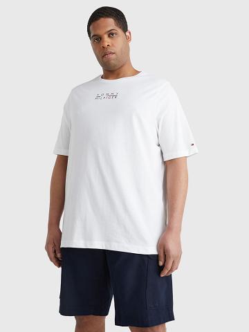 T Shirts Tommy Hilfiger Big and tall logo Homme Blanche | FR_M31004