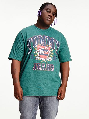 T Shirts Tommy Hilfiger Big and tall signature collegiate Homme Vert | FR_M31006